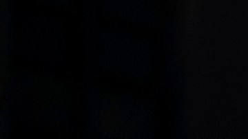 Foto referencial de seguidores MAGA del presidente Donald Trump.