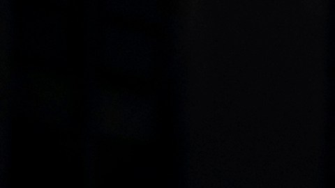 Foto referencial de seguidores MAGA del presidente Donald Trump.