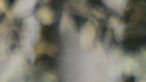 Foto referancial de protesta de guatemaltecos en EE.UU..