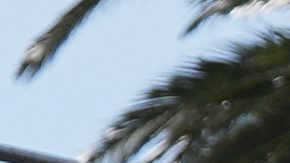 F1: Gran Premio de Australia no cambia sus planes a pesar de los ataques en Oriente Medio