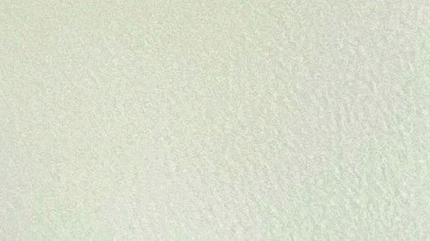 Pago de impuestos al IRS