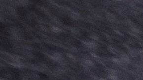 La VOA contaba con aproximadamente 1,000 empleados federales durante la administración del expresidente Joe Biden.