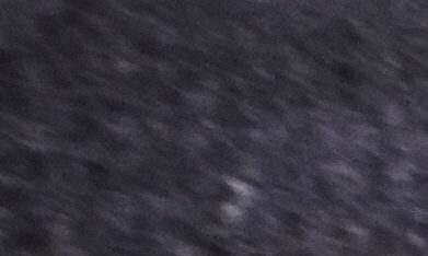 La VOA contaba con aproximadamente 1,000 empleados federales durante la administración del expresidente Joe Biden.