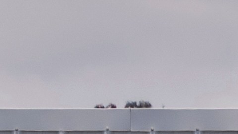 Transporte de mercancías a Puerto Rico