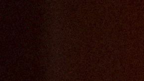 La senadora Kirsten Gillibrand y el líder de la minoría en el Senado, Chuck Schumer.