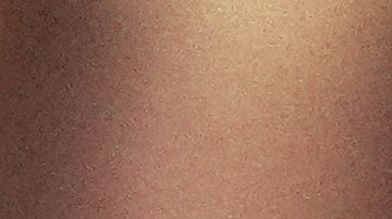 Revelaron las dos controvertidas reglas que tendrá la pelea entre Mike Tyson y Floyd Mayweather