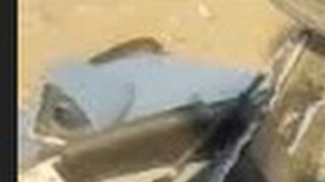 Impacto de dron en Isfahán, Irán