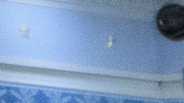 La legislación contempla la creación de programas piloto y subvenciones para la construcción.