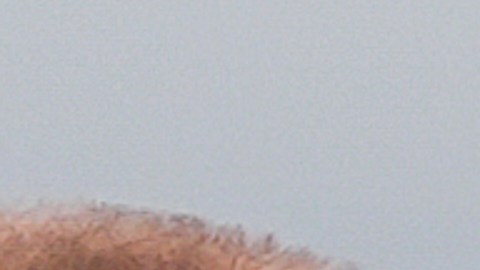 Los líderes también abordaron el conflicto de Rusia con Ucrania.