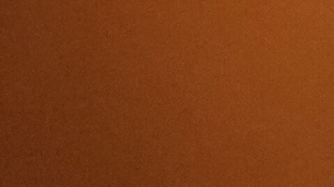 La SRE reiteró el llamado a las autoridades responsables para que "estos lamentables casos no continúen".