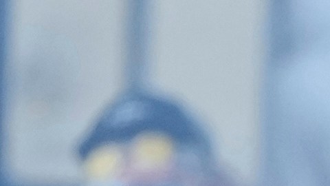 Agentes federales se enfrentan a manifestantes mientras el aire se llena de gases lacrimógenos afuera del edificio de Inmigración y Aduanas.