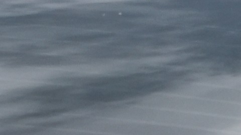 Hochul y los legisladores estatales están evaluando medidas para prohibir el acceso de los agentes federales de inmigración a hospitales públicos y otros lugares sensibles.