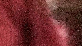 Las elecciones primarias serán el 23 de junio.