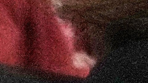 Las elecciones primarias serán el 23 de junio.