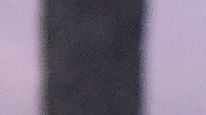 Florida se convertiría en el estado más poblado del país en exigir un comprobante de ciudadanía para registrarse como votante.