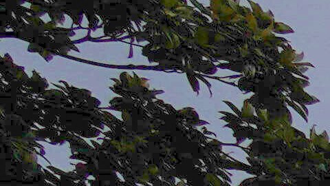 Banderas de Arabia Saudita y Estados Unidos.