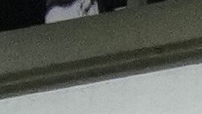 Journalists gather outside the Argentine Soccer Association (AFA) headquarters being raided as part of a judicial investigation into links authorities allege AFA has with a financial services company being investigated for alleged money laundering in Buenos Aires, Argentina, Tuesday, Dec. 9, 2025. (AP Photo/Rodrigo Abd)