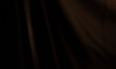 El mandatario también se mantiene al día con sus asesores militares y de inteligencia.