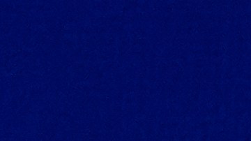 Elon Musk en el Foro Económico de Davos, Suiza