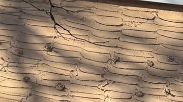 El consulado ecuatoriano en Minneapolis, 28 de enero de 2026.