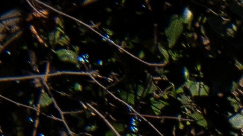 Instalación del Departamento de Seguridad Nacional (DHS) en Washington, viernes 13 de febrero de 2026.