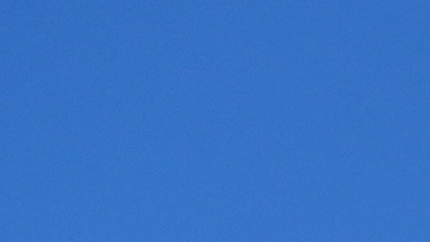 Los manifestantes salpicaron sus comentarios con algunos insultos dirigidos al Servicio de Inmigración y Control de Aduanas de Estados Unidos.