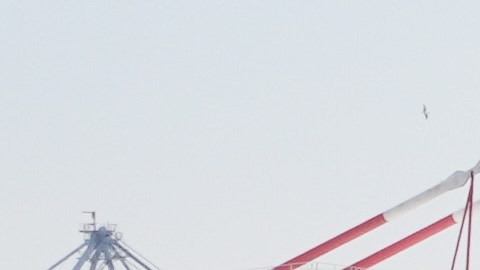 Argentina logró amortiguar el impacto del arancel del 10% mediante una estrategia de acercamiento político y comercial con Washington.