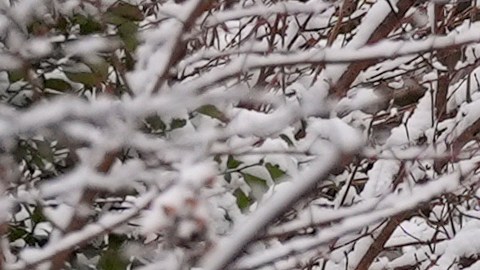 Un trabajador del Parque Puente de Brooklyn limpia la nieve de una acera cerca del parque.