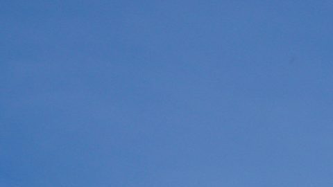 Asociación de Peloteros de MLB considera “muy probable” un cierre patronal en diciembre