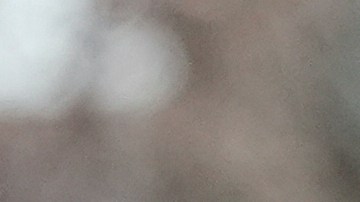 El director interino de ICE viene de rchazar la petición de Ábrego García para ser enviado a Costa Rica.