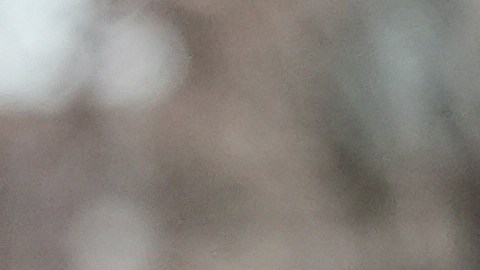 El director interino de ICE viene de rchazar la petición de Ábrego García para ser enviado a Costa Rica.