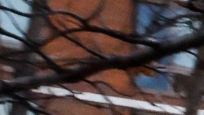 Vehículos de la policía de Nueva York se ven afuera del Centro Cultural Islámico de Nueva York.