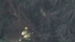 Musulmanes chiítas incendiaron la entrada del consulado estadounidense durante una manifestación para condenar el asesinato del líder supremo iraní, el ayatolá Ali Jameneí.