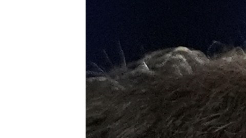 Ken Paxton y John Cornyn se enfrentan en segunda vuelta en Texas