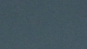 Graham Arnold, director técnico de Irak.