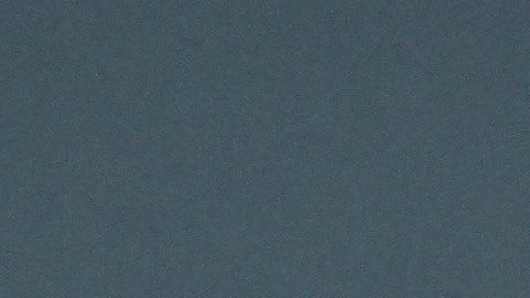 Graham Arnold, director técnico de Irak.