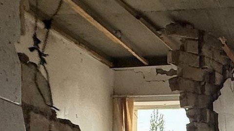 Se examinaron 28 videos y 30 fotografías publicadas en línea, además de realizarse un análisis adicional por parte de un médico forense independiente.