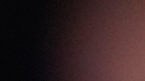 Conferencia de prensa de Donald Trump