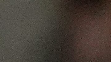 Vladimir Guerrero Jr., de República Dominicana, a la izquierda, celebra con sus compañeros de equipo después de conectar un jonrón de dos carreras durante la tercera entrada de un juego del Clásico Mundial de Béisbol contra Holanda, el domingo 8 de marzo de 2026, en Miami.