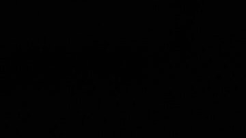 Todos los afectados recibieron atención médica inmediata.