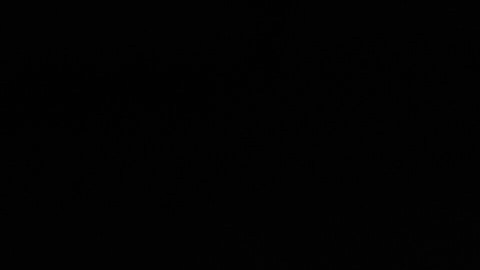 Todos los afectados recibieron atención médica inmediata.