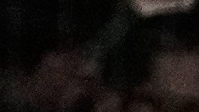 Pelea en las tribunas entre aficionados de México y EE.UU. se vuelve viral tras juego del Clásico Mundial [Video]