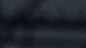 Jake Paul y Donald Trump en un evento en Kentucky