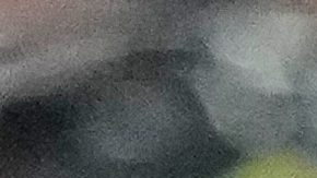 Portugués Pedro Neto enfrenta dura sanción por empujar a un recogepelotas del PSG
