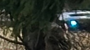 Una mujer reúne a sus hijos mientras las fuerzas del orden responden a una llamada en la sinagoga Temple Israel el jueves 12 de marzo de 2026, en el municipio de West Bloomfield, Michigan.