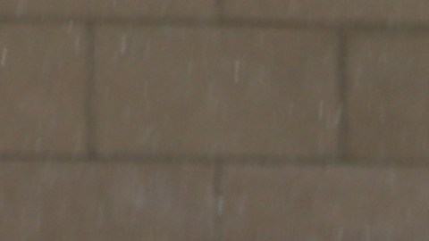 La policía llega al campus de la Universidad Old Dominion tras informes de un tirador activo el jueves 12 de marzo de 2026 en Norfolk, Virginia.