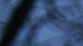 El secretario de Defensa apuntó que Jamenei resultó "herido y desfigurado".