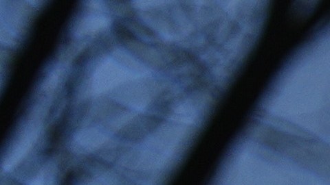 El secretario de Defensa apuntó que Jamenei resultó "herido y desfigurado".