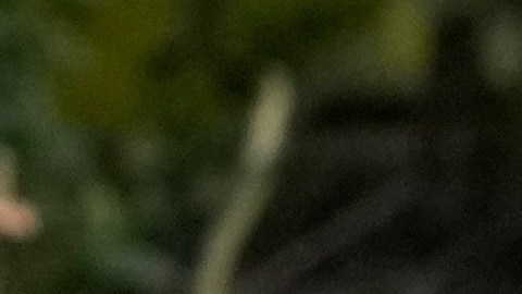 Mujeres sostienen carteles del líder supremo iraní, el ayatolá Mojtaba Khamenei, durante una campaña de apoyo al gobierno.