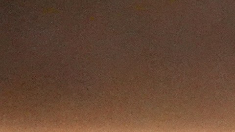 David Breschel, Mike Yung, Sam A. Davis y Jack Piatt reciben el premio al mejor cortometraje de acción real por "The Singers" tras un empate en la categoría durante la ceremonia de los Oscar